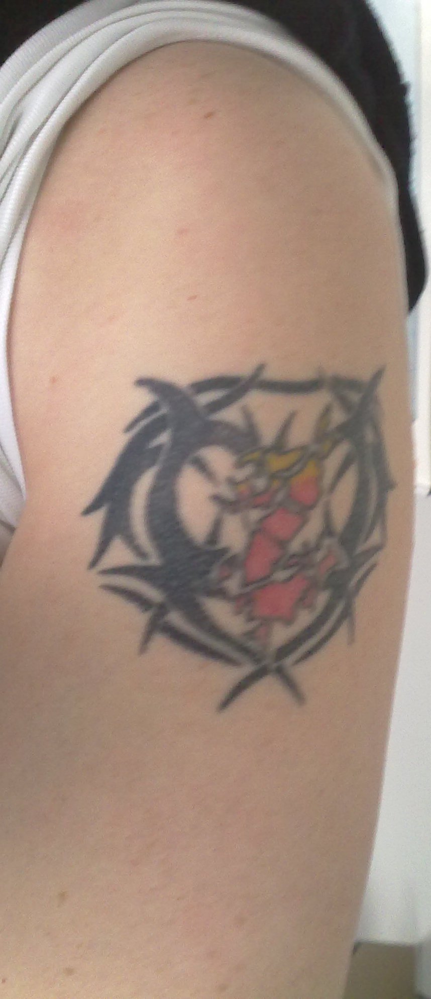 MarkusSVW: Anregungen gesucht!!!