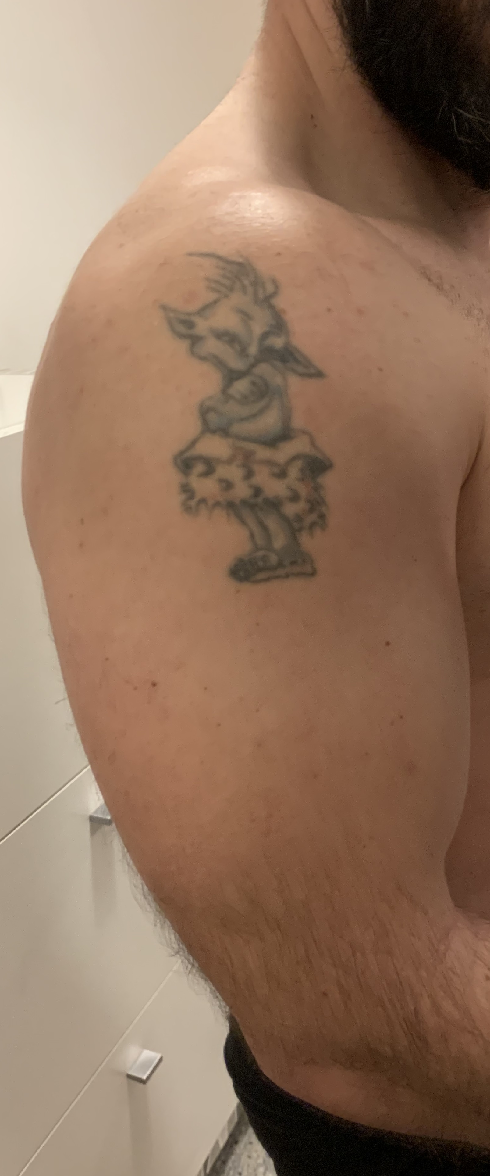 Elodin: Cover up oder lasern