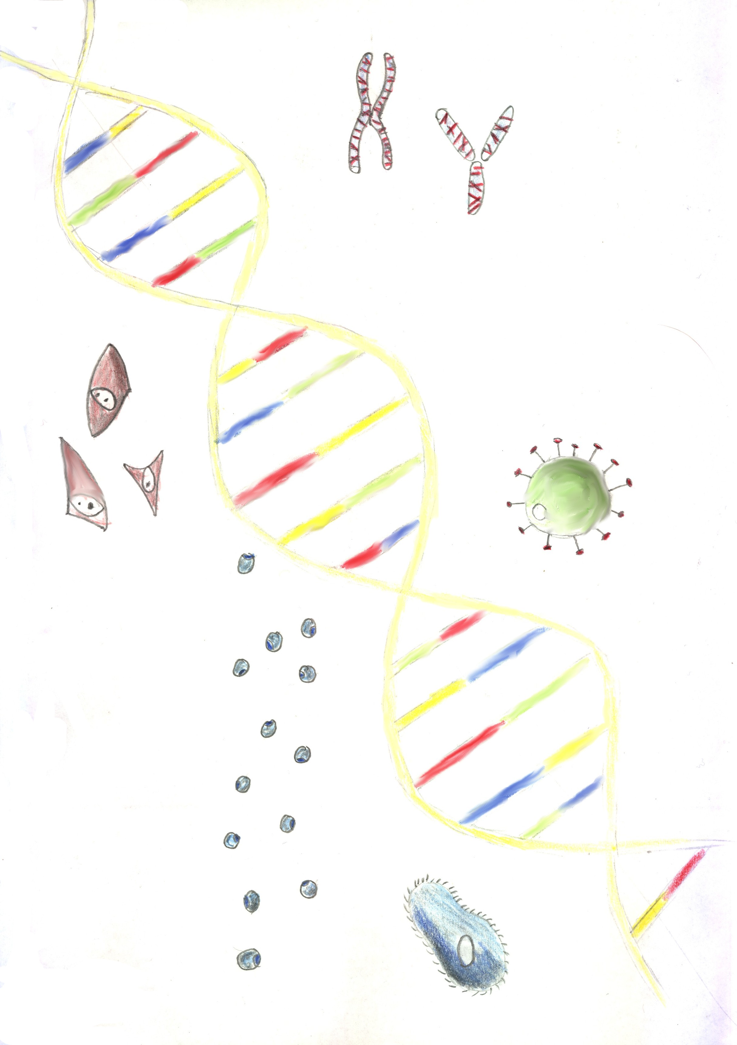 BravoCharlie: Evolutions-Tattoo ich brauch noch Ideen 